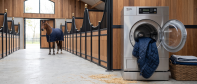 eigen-wasserij-paardendekens