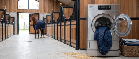 eigen-wasserij-paardendekens